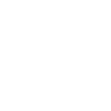 icons8-visa-100